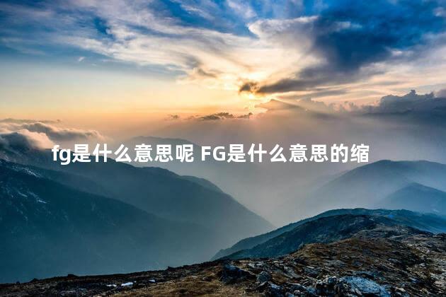 fg是什么意思呢 FG是什么意思的缩写